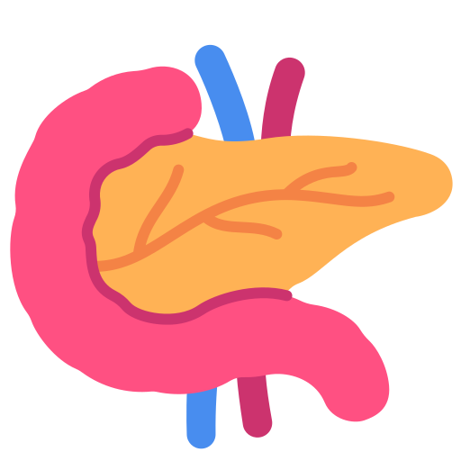 胰腺